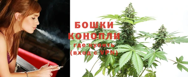 мет Богданович