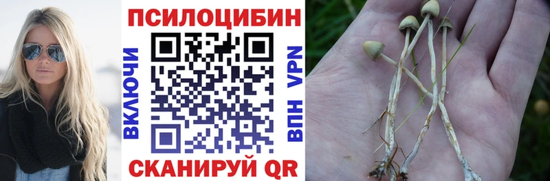 Галлюциногенные грибы GOLDEN TEACHER  Купить закладки  Удомля 